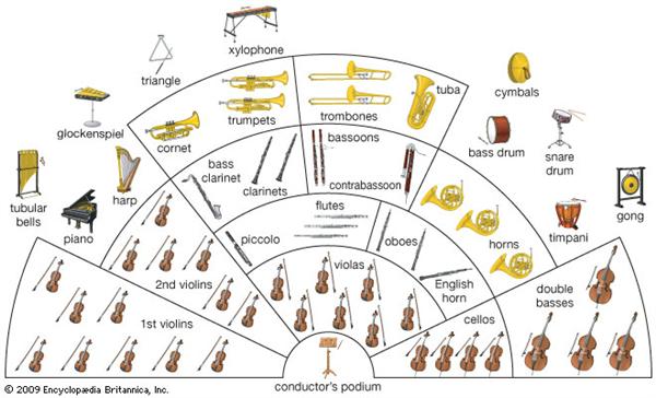 The orchestra seating chart