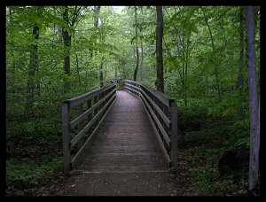 bridge