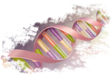 DNA 